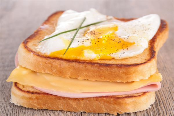 EGG EGG