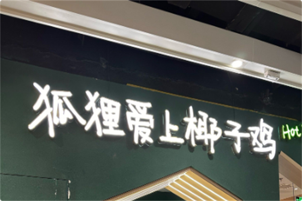 狐狸爱上椰子鸡 狐狸爱上椰子鸡