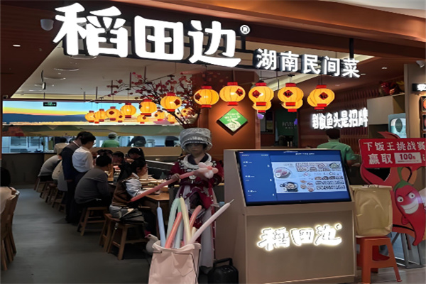 稻田边湖南民间菜 稻田边湖南民间菜