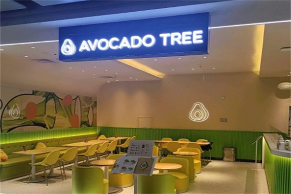 油梨树AVOCADO TREE