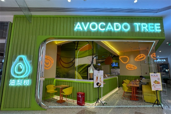 油梨树AVOCADO TREE