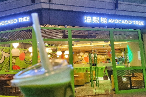 油梨树AVOCADO TREE