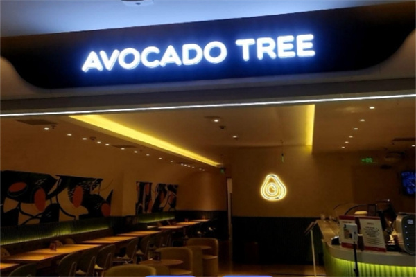 油梨树AVOCADO TREE