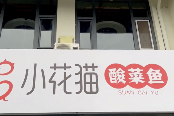 小花猫酸菜鱼 小花猫酸菜鱼