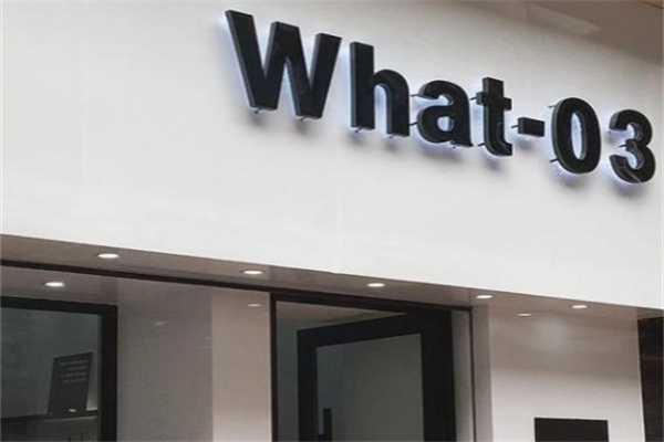 What-03