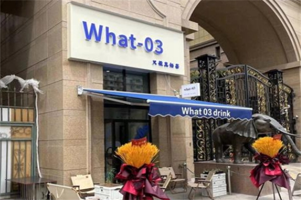 What-03