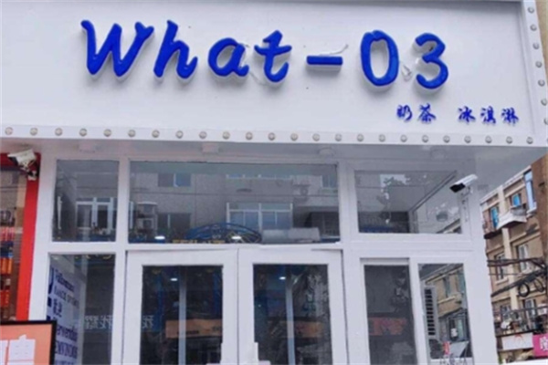 What-03