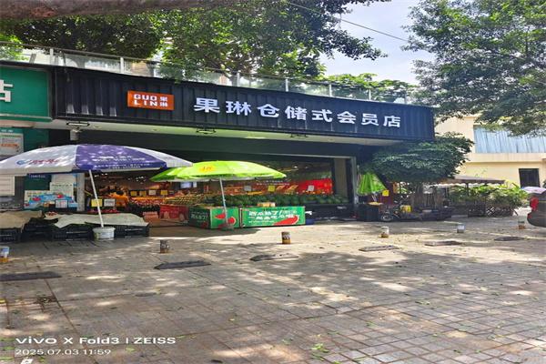 果琳