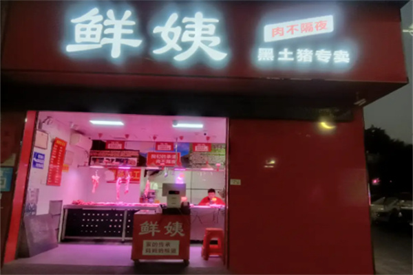 茂名鲜姨招商