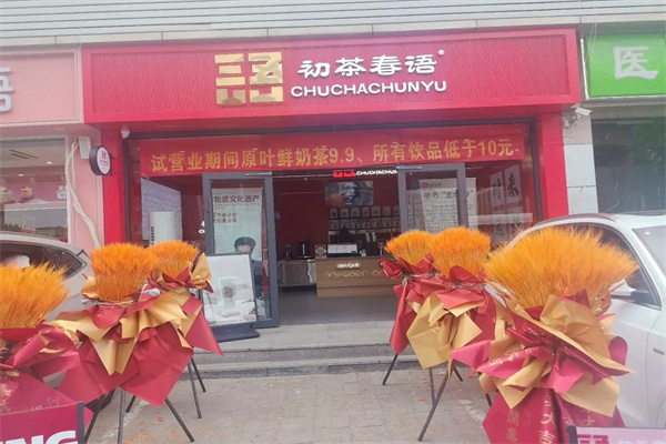 初茶春语 初茶春语