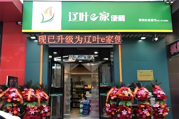 辽叶e家便利店