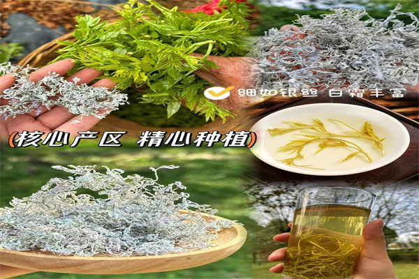 友茶