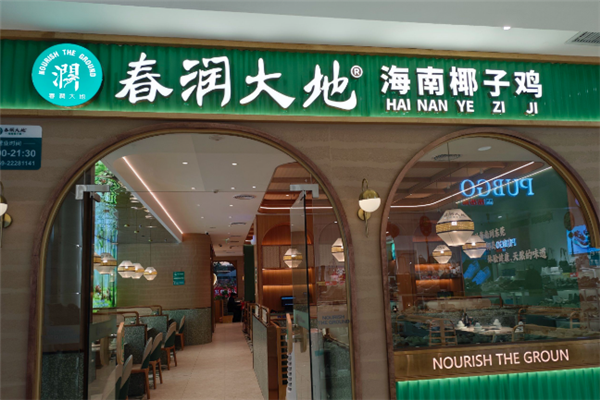 春润大地椰子鸡