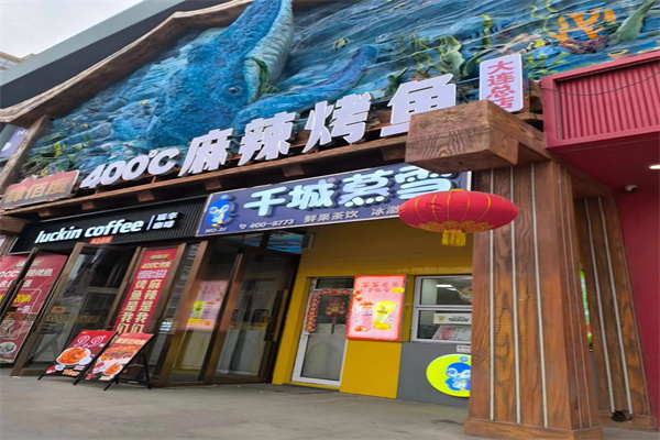 千城慕雪 千城慕雪