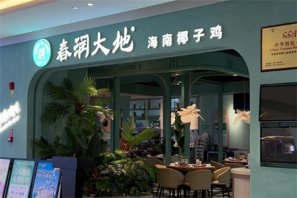 春润大地椰子鸡