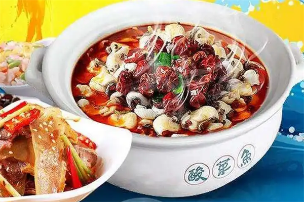 九两鱼酸菜鱼