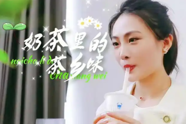茶乡里 茶乡里