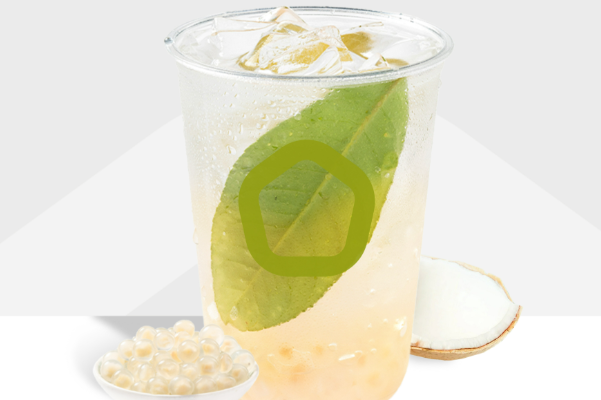 茶大椰 茶大椰
