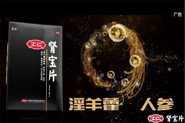 汇仁肾宝片 汇仁肾宝片