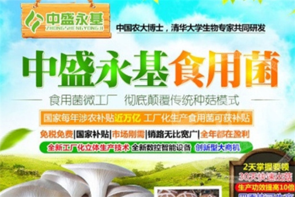 中盛永基食用菌 中盛永基食用菌