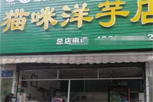 猫咪洋芋 猫咪洋芋