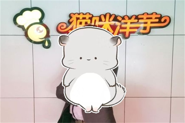 猫咪洋芋 猫咪洋芋