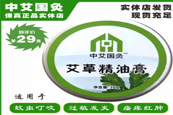 中艾国灸 中艾国灸