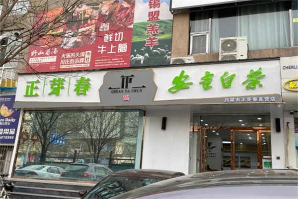 安吉白茶极白