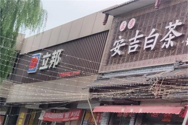 安吉白茶极白