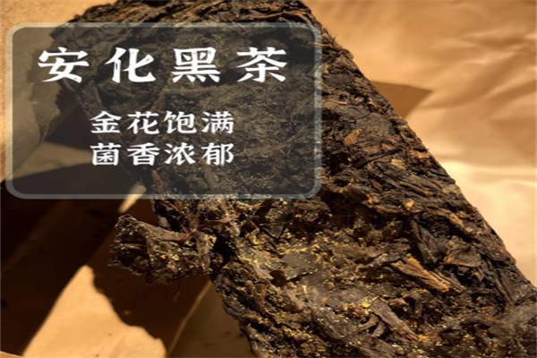 安化黑茶 安化黑茶