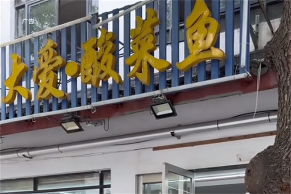 大爱酸菜鱼 大爱酸菜鱼