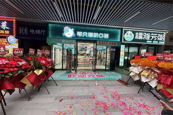 那只猫的口袋五元店