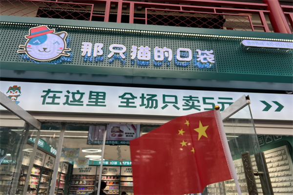 那只猫的口袋五元店