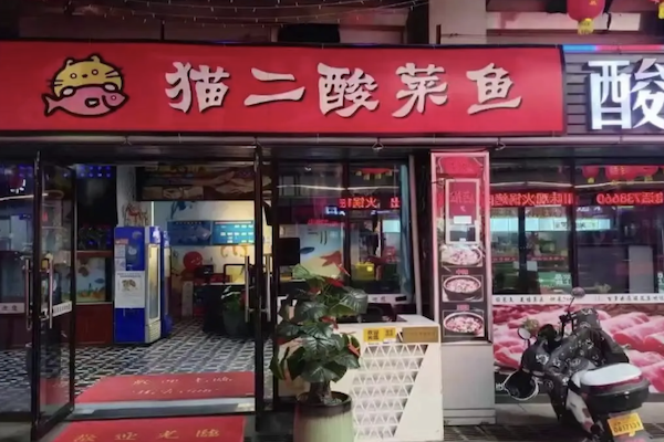 猫二酸菜鱼 猫二酸菜鱼