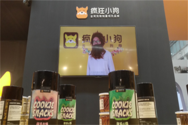 疯狂小狗 疯狂小狗