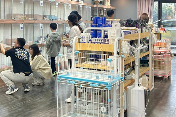 汤姆猫宠物店 汤姆猫宠物店