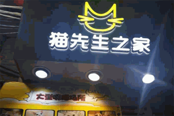 猫先生之家
