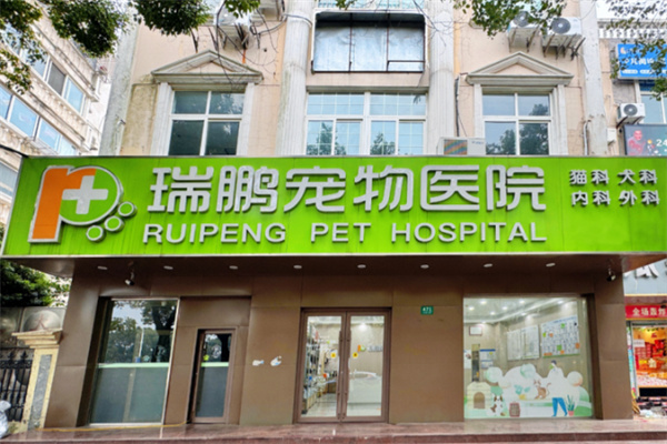 新瑞鹏宠物店 新瑞鹏宠物店