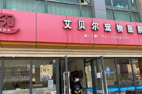 艾贝尔宠物店 艾贝尔宠物店