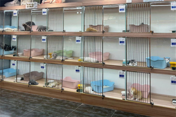 汤姆猫宠物店 汤姆猫宠物店