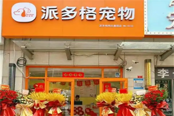 派多格宠物美容 派多格宠物美容