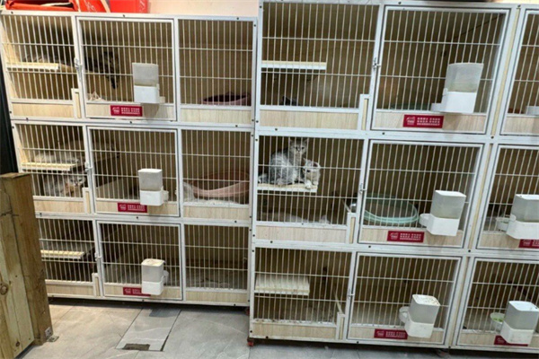 宠掌门宠物店