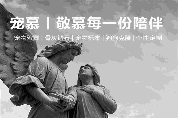 宠慕宠物殡葬中心
