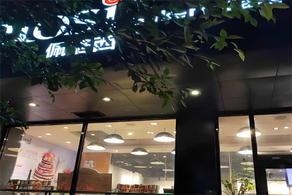 佩洛西蛋糕 佩洛西蛋糕