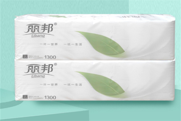 丽邦卫生纸加盟 丽邦卫生纸加盟