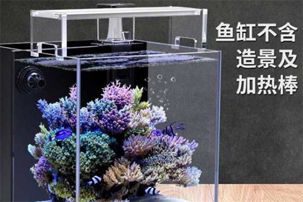 彩蝶鱼缸