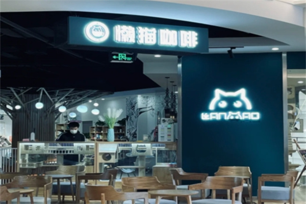 懒猫咖啡 懒猫咖啡