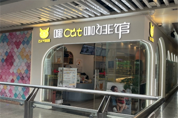 懒猫咖啡 懒猫咖啡