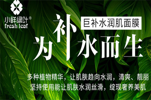 小鲜绿叶护肤品 小鲜绿叶护肤品