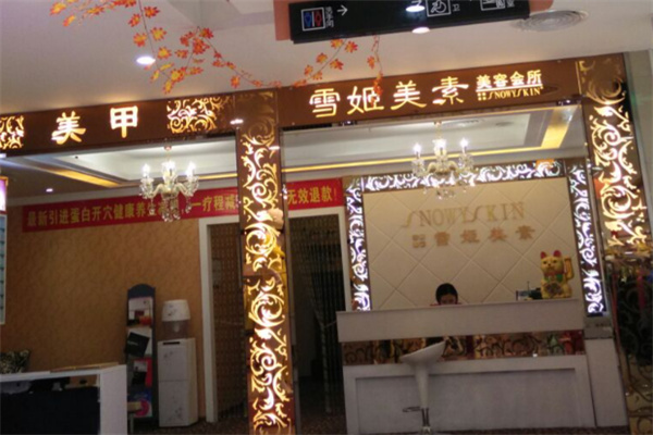 雪姬美素化妆品